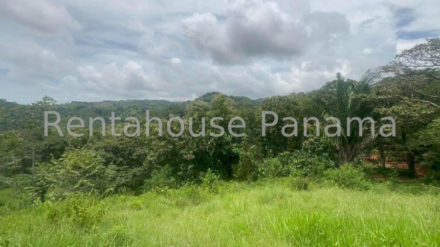 Foto Terreno en Venta en Tolé, Chiriquí - U$D 293.500 - TEV76020 - BienesOnLine