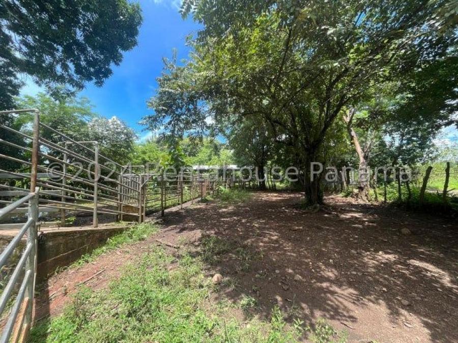 Foto Terreno en Venta en veraguas, Veraguas - U$D 205.000 - TEV75189 - BienesOnLine