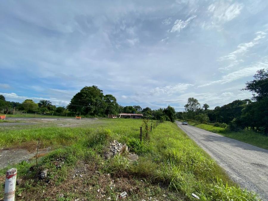 Foto Terreno en Venta en Barú, Chiriquí - TEV73155 - BienesOnLine