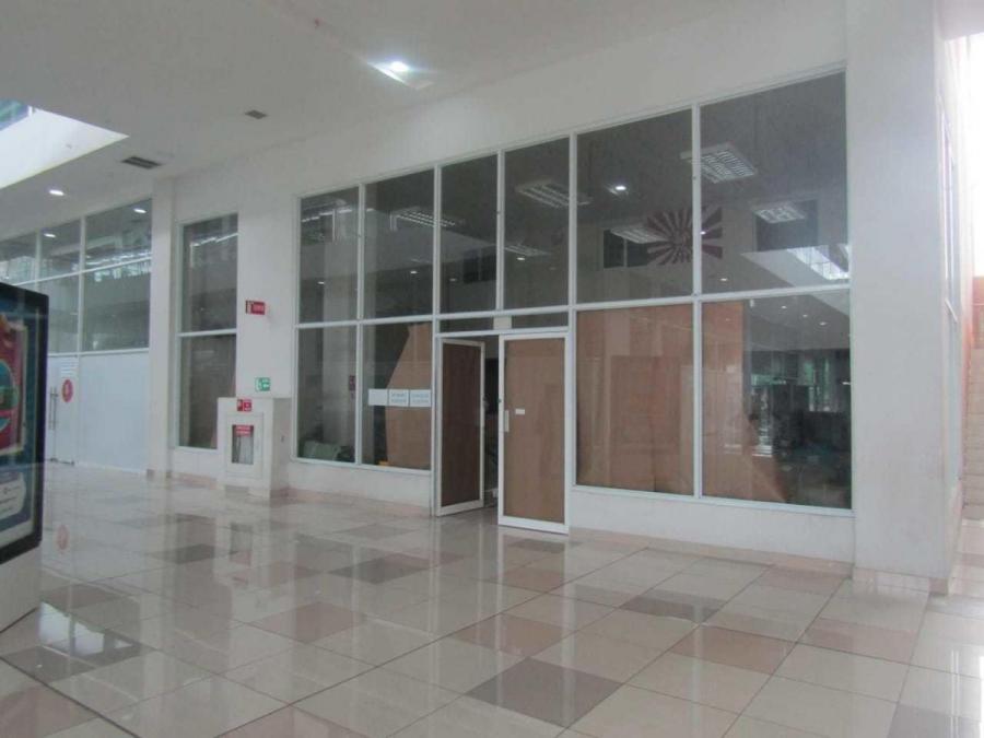 Foto Local en Alquiler en Juan Díaz, Panamá - U$D 1.500 - LOA30911 - BienesOnLine