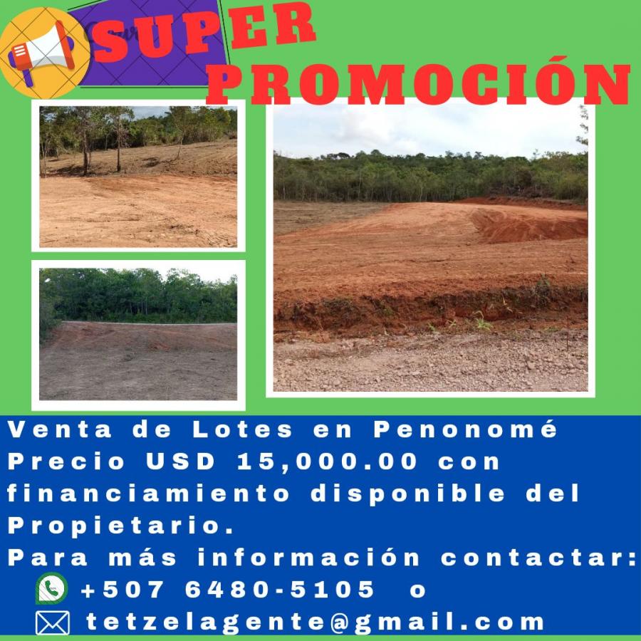 Foto Terreno en Venta en La Candelaria, Toabré, Coclé - U$D 15.000 - TEV74633 - BienesOnLine