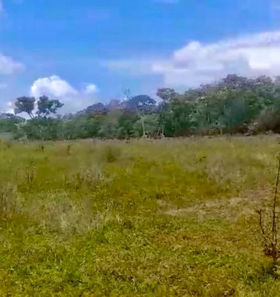 Foto Terreno en Venta en Torti, Chepo, Panamá - U$D 39.000 - TEV73349 - BienesOnLine