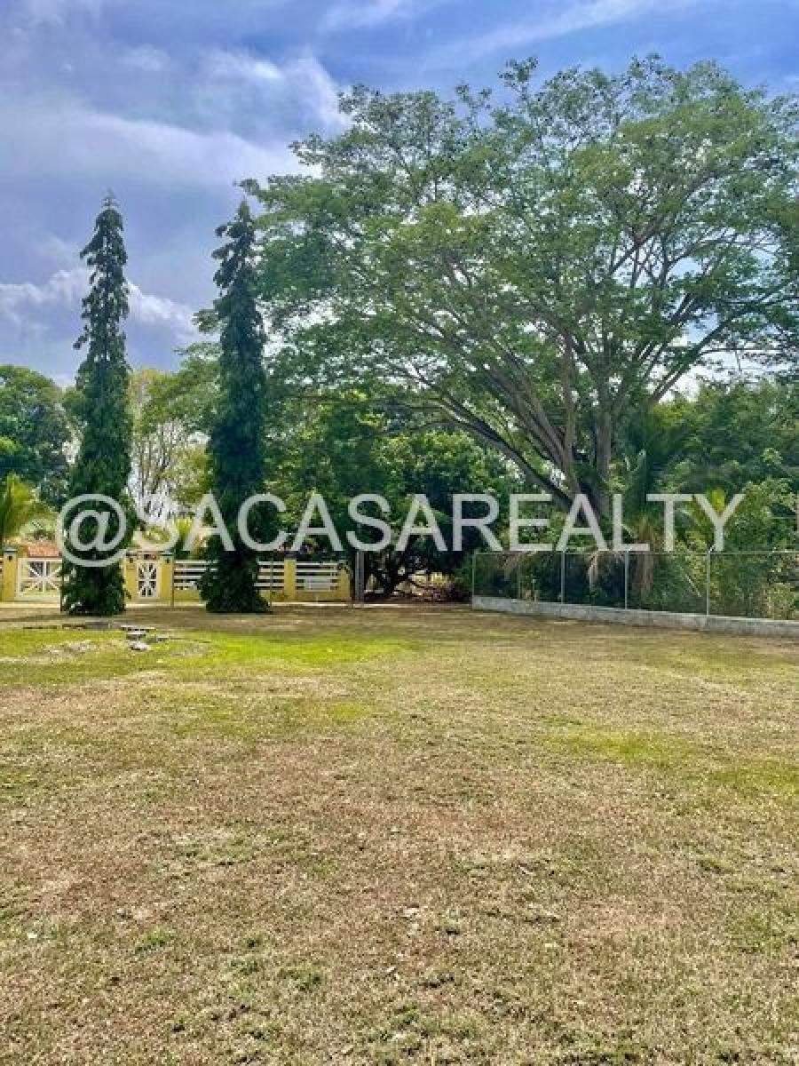 Foto Terreno en Venta en Gorgona, Chame, Panamá - U$D 65.000 - TEV73717 - BienesOnLine