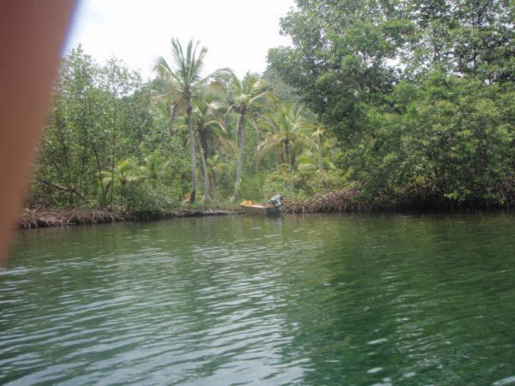 Foto Finca en Venta en SAN CRISTOBAL, Bocas del Toro, Bocas del Toro - U$D 1.000.000 - FIV929 - BienesOnLine