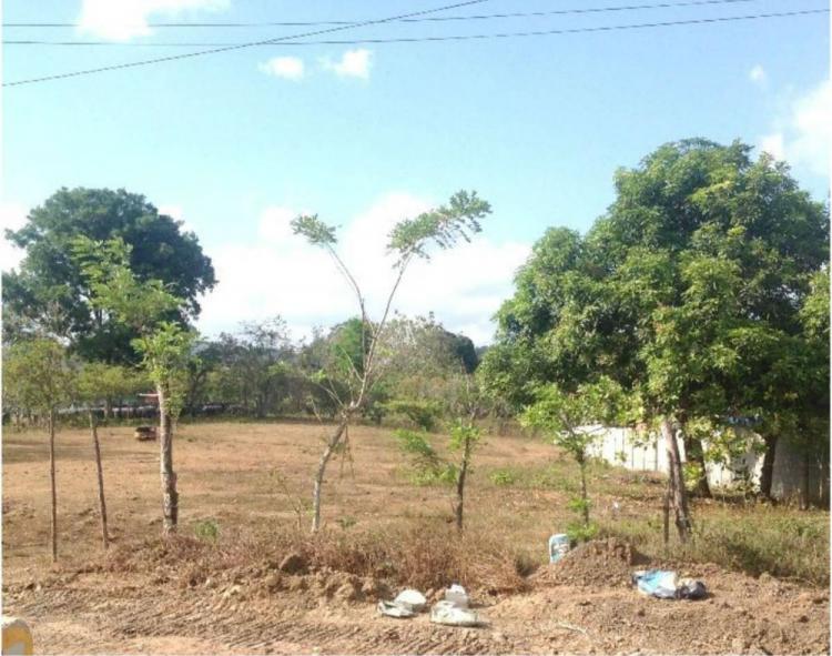 Foto Terreno en Alquiler en Ciudad de Panamá, Panamá - U$D 2.459 - TEA13131 - BienesOnLine