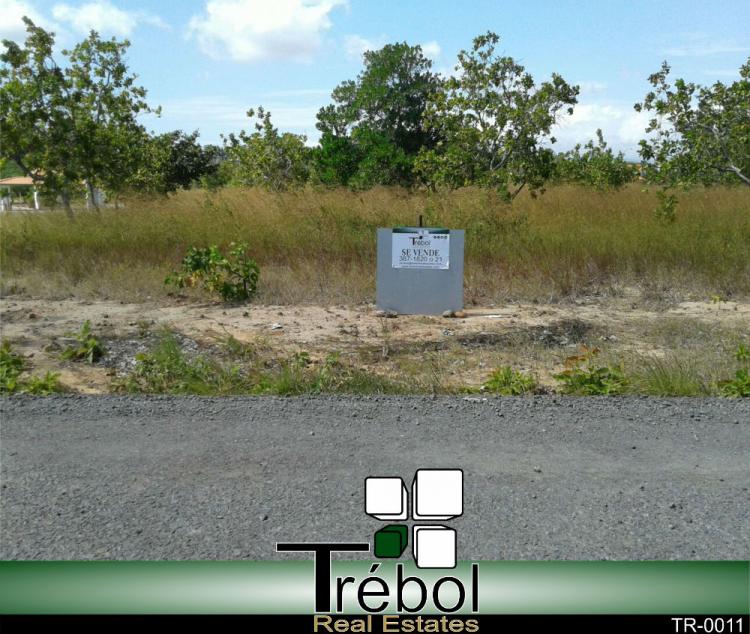 Foto Terreno en Venta en Coronado, Chame, Panamá - 1 hectareas - U$D 90.000 - TEV4257 - BienesOnLine