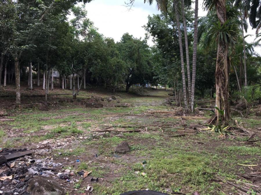 Foto Terreno en Alquiler en progreso, Panamá - U$D 7.055 - TEA47812 - BienesOnLine