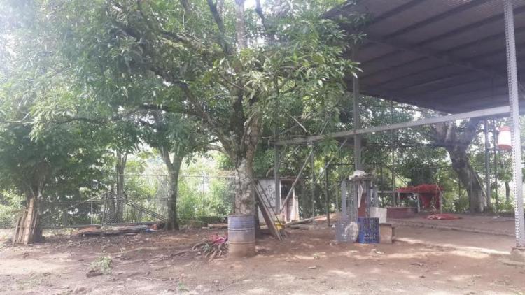 Foto Terreno en Alquiler en , Panamá - U$D 5.000 - TEA6637 - BienesOnLine