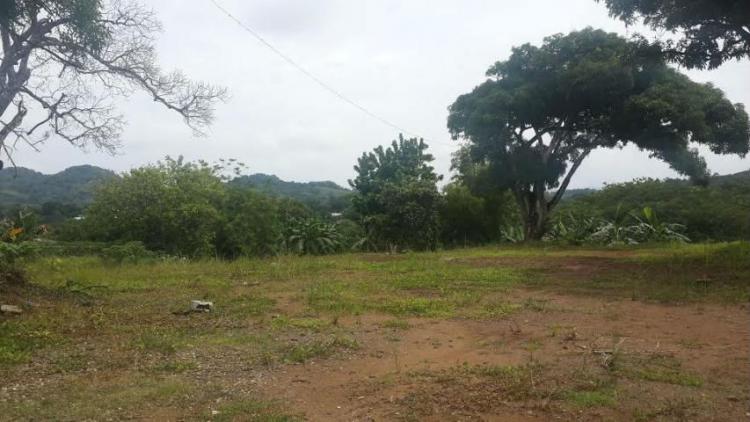 Foto Terreno en Alquiler en San Miguelito, Panamá - U$D 5.000 - TEA5279 - BienesOnLine