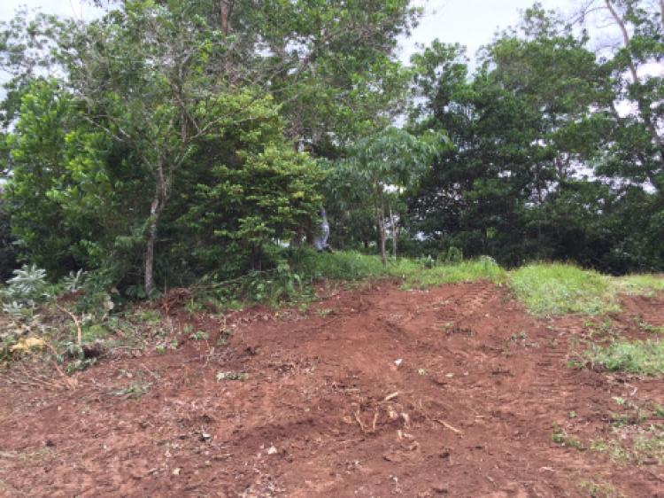 Foto Terreno en Venta en LA ARENOSA, Panamá - U$D 270.000 - TEV17828 - BienesOnLine