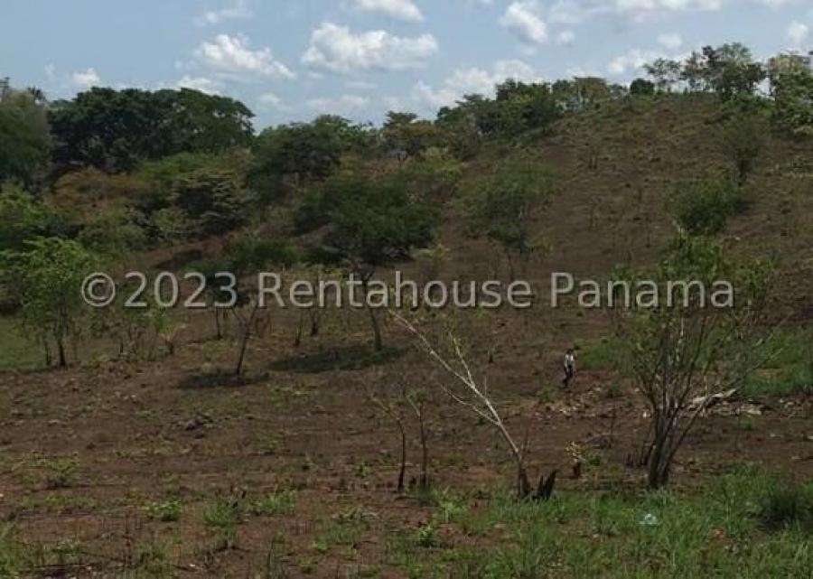 Terreno en venta en El Coco, La Chorrera  ELP 25-6531