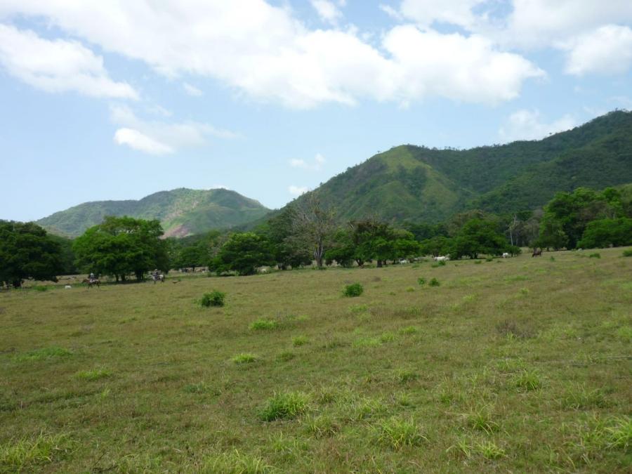 Terreno en Venta en Salmonete Bahía Honda, Veraguas