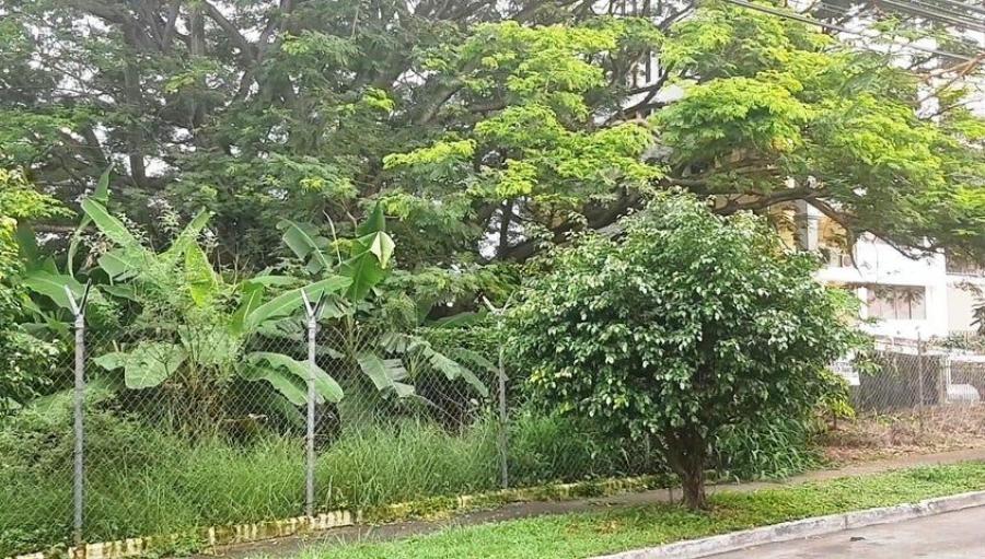 Foto Terreno en Venta en HATO PINTADO, Panamá - U$D 400.000 - TEV61246 - BienesOnLine