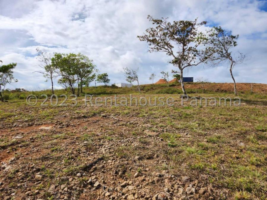 Foto Terreno en Venta en Penonome, Panamá - U$D 40.000 - TEV61780 - BienesOnLine