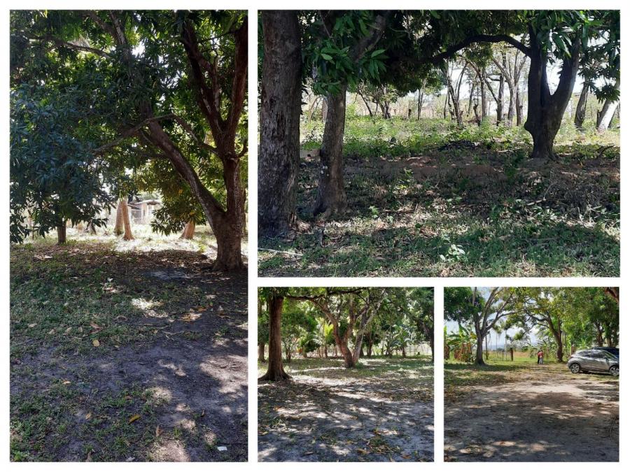 Foto Terreno en Venta en Penonomé, Miraflores, Coclé - U$D 85.000 - TEV69491 - BienesOnLine