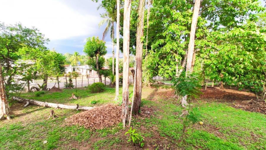 Foto Terreno en Venta en Arraiján, Panamá - U$D 2.001.927 - TEV72992 - BienesOnLine