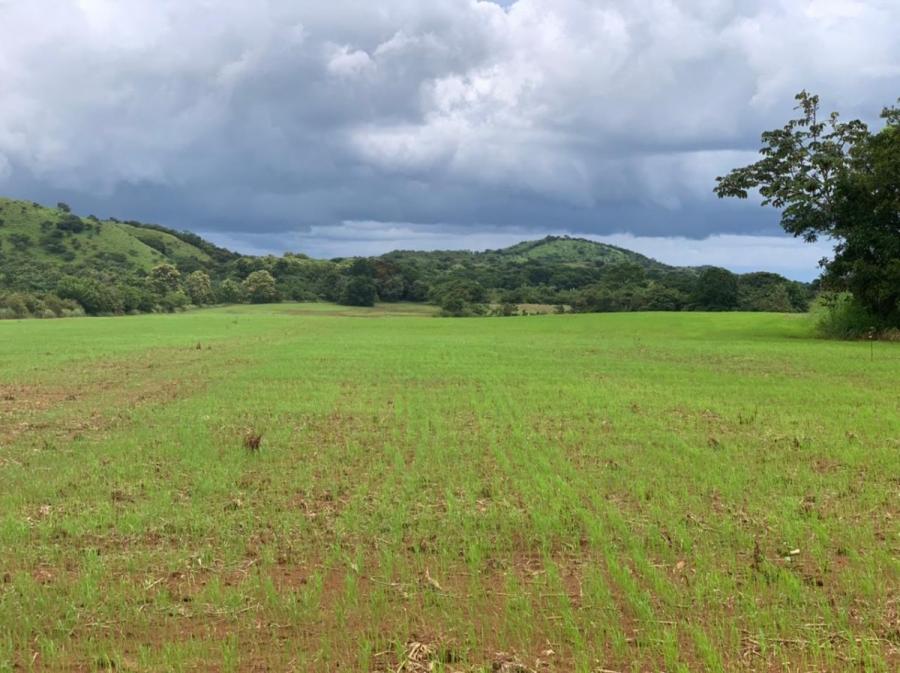 Terreno en Venta en  Montijo, Veraguas