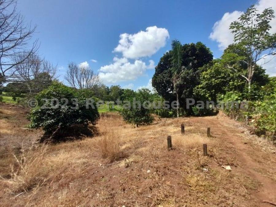 Terreno en Venta en  Ciudad de Panamá, Panamá