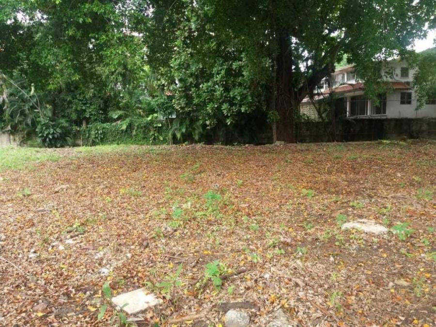 Foto Terreno en Venta en el carmen, Panamá - U$D 976.336 - TEV26367 - BienesOnLine