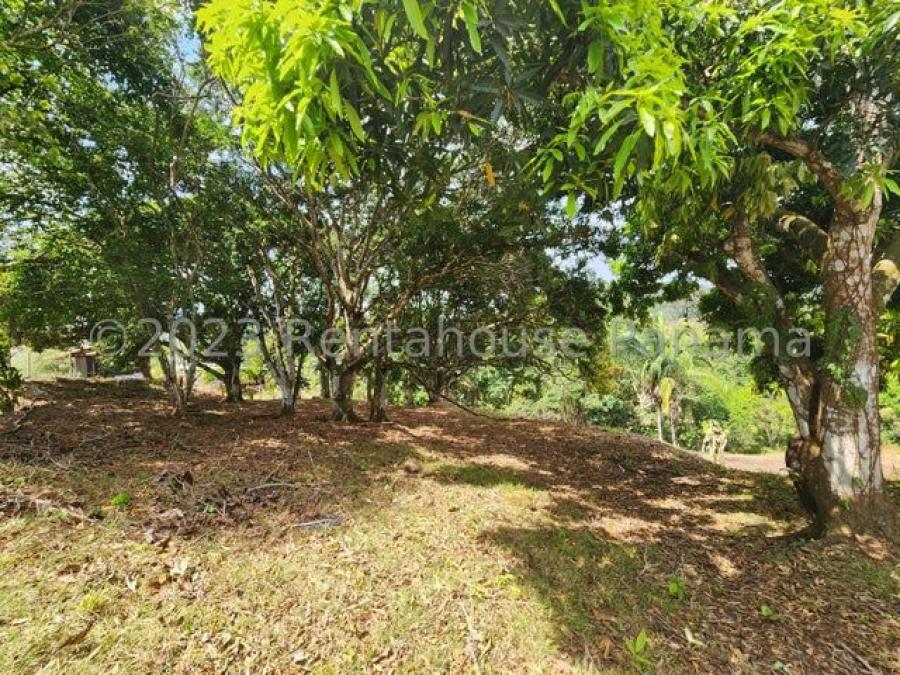 Terreno en Venta en  La Chorrera, Panamá Oeste