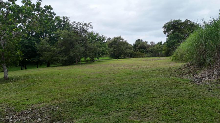 Foto Terreno en Venta en San Carlos, Las Uvas Ph Valle Los Lirios, Panamá - U$D 50.000 - TEV74761 - BienesOnLine