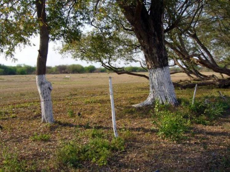 Terrenos en venta y en alquiler en Chaco BienesOnLine Argentina