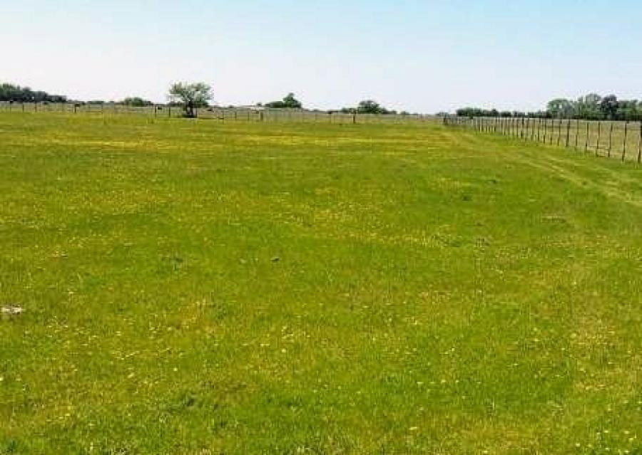 Foto Campo en Venta en Castelli, Buenos Aires - U$D 1.000.000 - CPV117646 - BienesOnLine