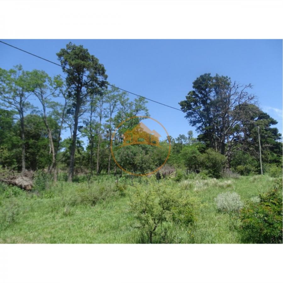 Foto Terreno en Venta en Potrero de Garay, Crdoba - U$D 24.000 - TEV118007 - BienesOnLine