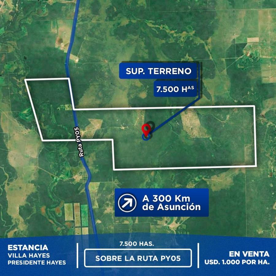 Foto Campo en Venta en Pozo Colorado, Villa Hayes, Presidente Hayes - U$D 7.500.000 - CPV2284 - BienesOnLine