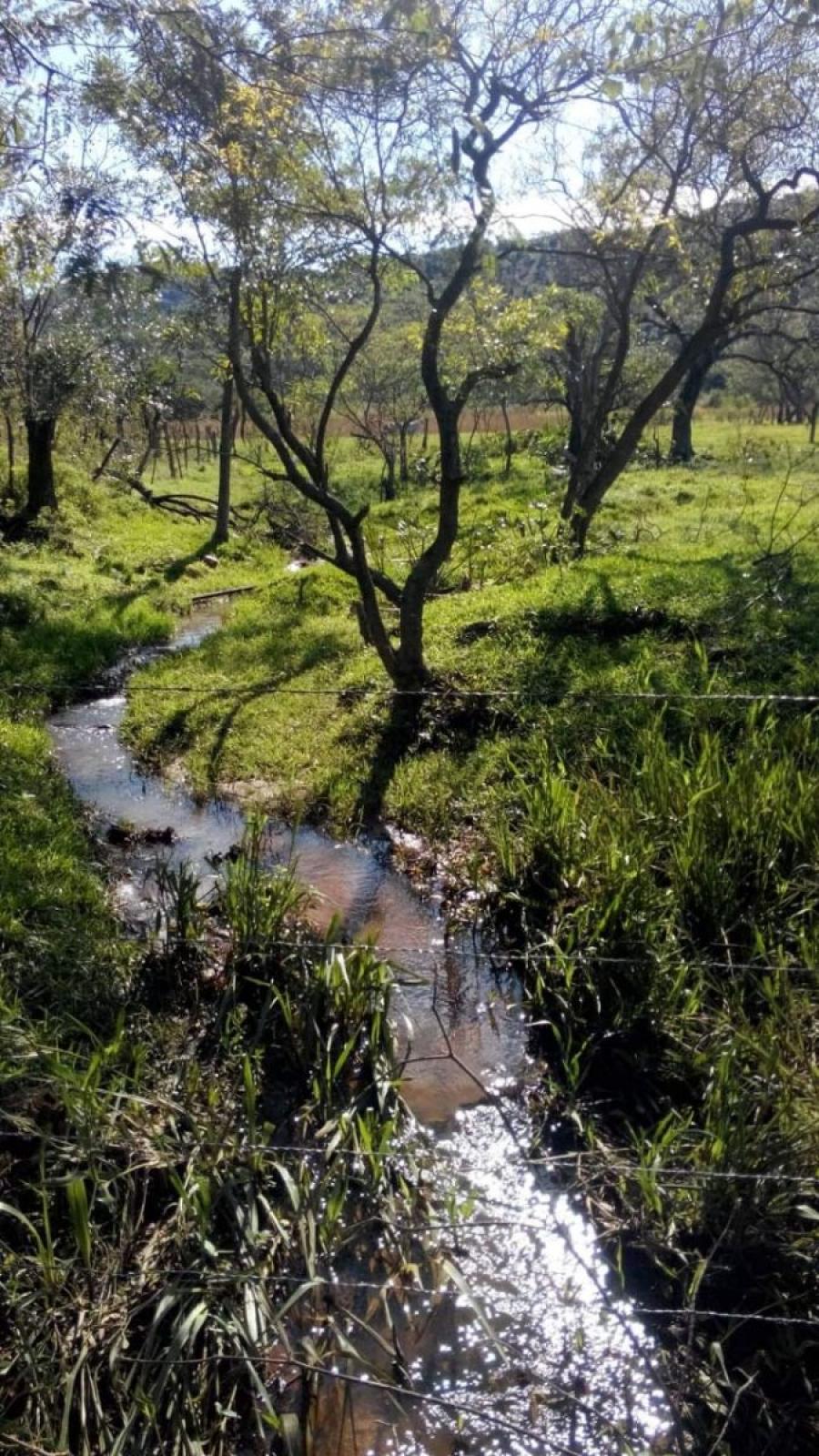 Terreno con Cause de Arroyo