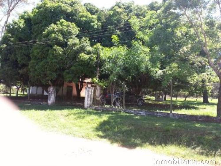 Foto Terreno en Venta en Ybyraro, Capiatá, Central - TEV318 - BienesOnLine