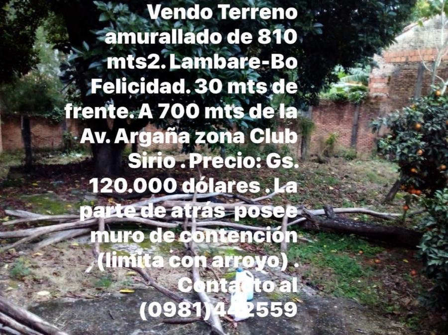 Foto Terreno en Venta en Barrio Felicidad, Lambar, Central - U$D 120.000 - TEV2403 - BienesOnLine