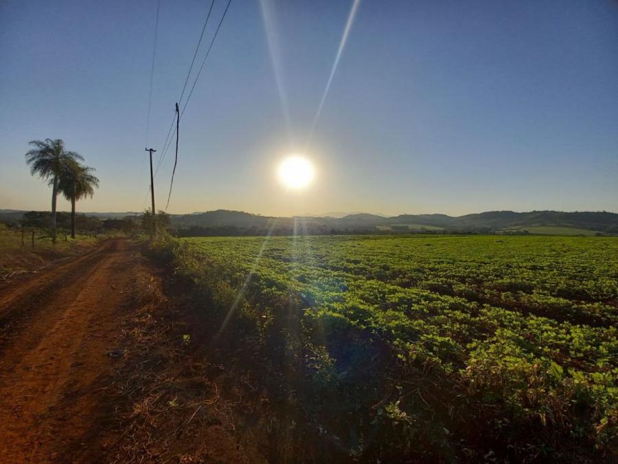 Foto Campo en Venta en Compaa Loro Blanco, Jos Fassardi, Guair - 48 hectareas - U$D 160.000 - CPV2412 - BienesOnLine