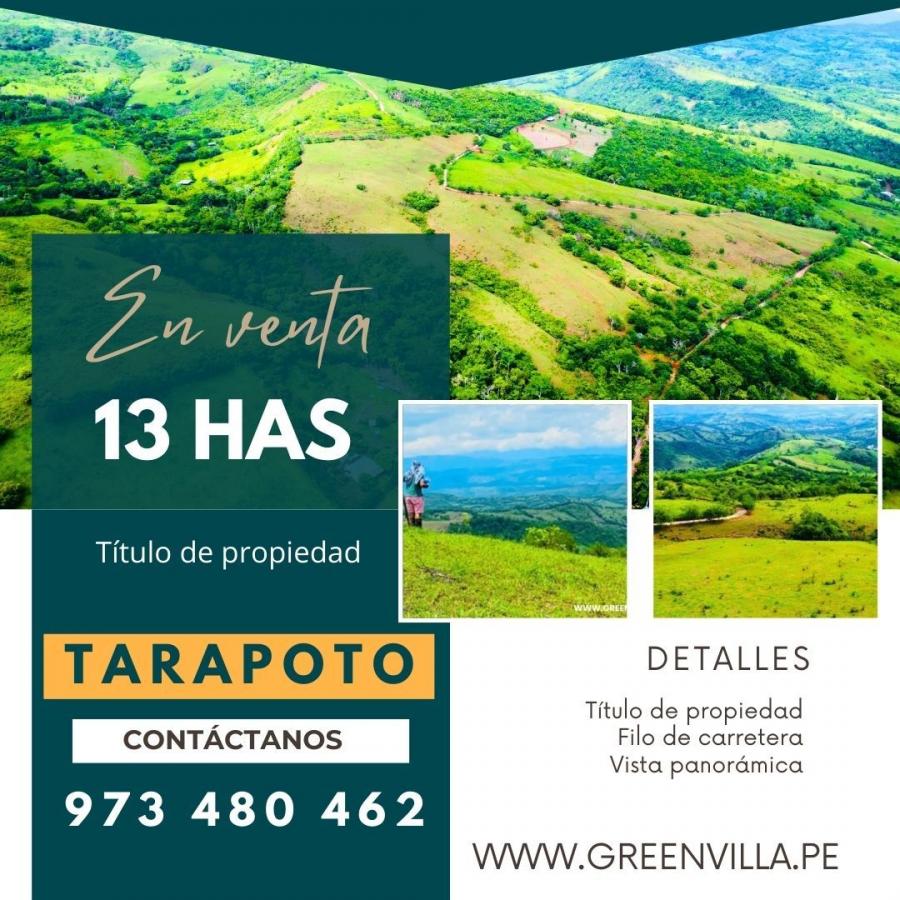 Foto Terreno en Venta en Zapatero, Tarapoto, San Martin - 13 hectareas - S/. 350.000 - TEV40330 - BienesOnLine