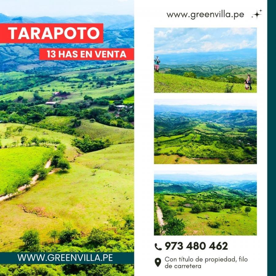 Foto Terreno en Venta en Zapatero, Tarapoto, San Martin - 13 hectareas - S/. 350.000 - TEV40331 - BienesOnLine