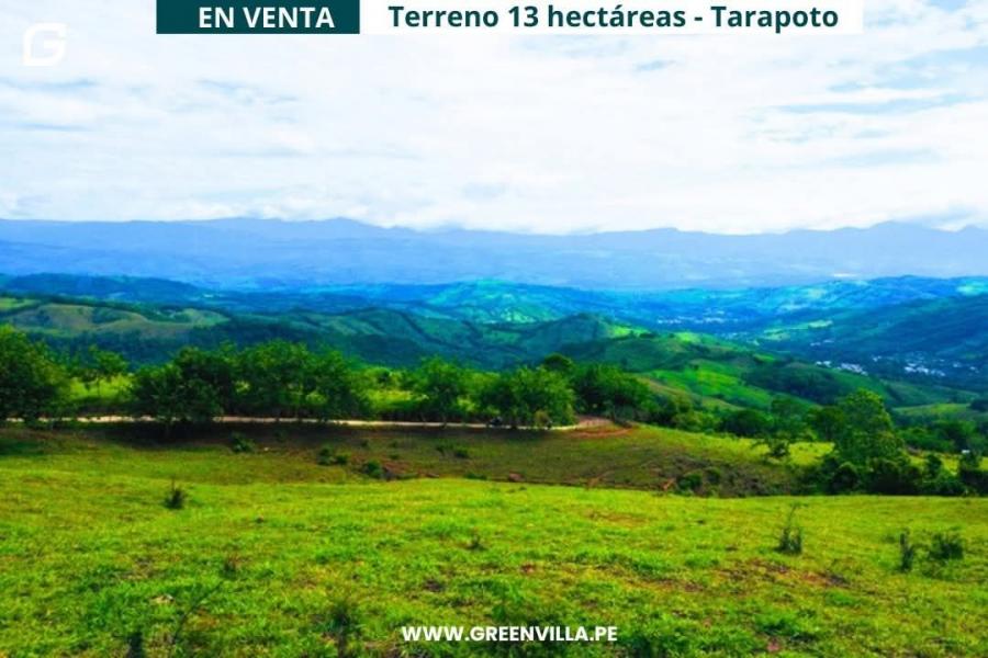 Foto Terreno en Venta en Zapatero zona ganadera, Tarapoto, San Martin - 13 hectareas - S/. 350.000 - TEV40332 - BienesOnLine