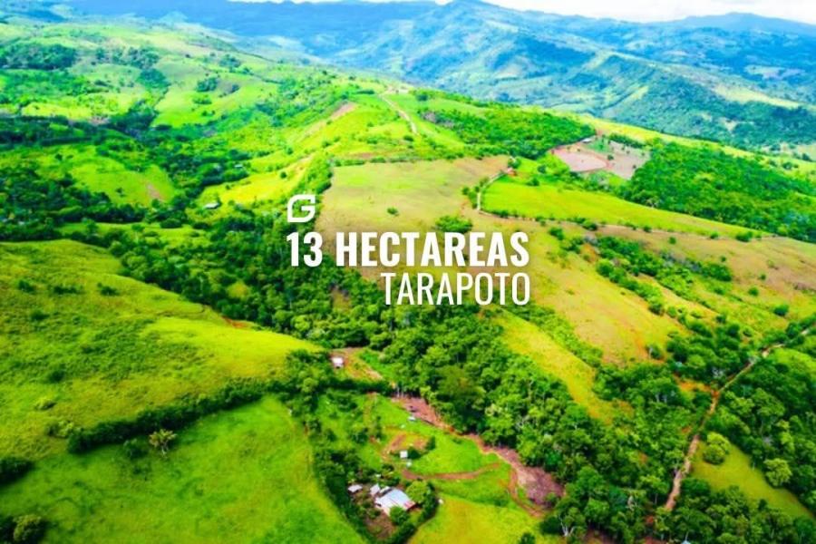 Foto Terreno en Venta en Zapatero zona ganadera, Tarapoto, San Martin - 13 hectareas - S/. 350.000 - TEV40333 - BienesOnLine