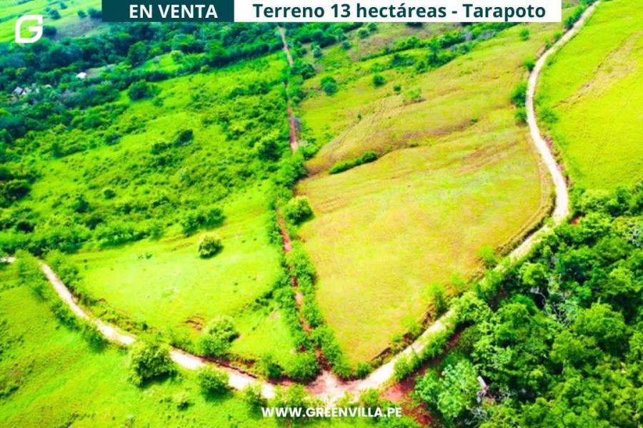 Foto Terreno en Venta en Zapatero zona ganadera, Tarapoto, San Martin - 13 hectareas - S/. 350.000 - TEV40334 - BienesOnLine