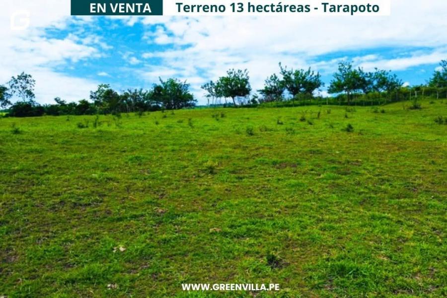 Foto Terreno en Venta en Zapatero, Tarapoto, San Martin - 13 hectareas - S/. 350.000 - TEV40335 - BienesOnLine