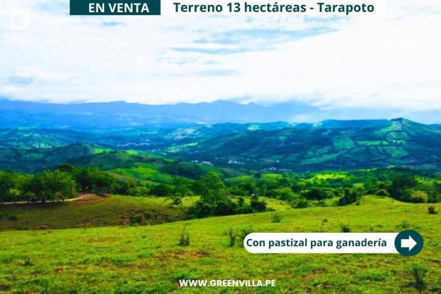 Foto Terreno en Venta en Zapatero, Tarapoto, San Martin - 13 hectareas - S/. 350.000 - TEV40336 - BienesOnLine