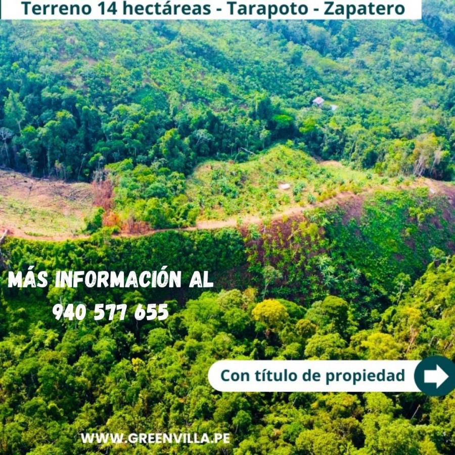  ¡EN VENTA! ¡14 HECTÁREAS EN TARAPOTO!