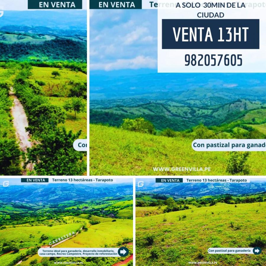 Foto Terreno en Venta en Tarapoto, Tarapoto, San Martin - S/. 350.000 - TEV40348 - BienesOnLine