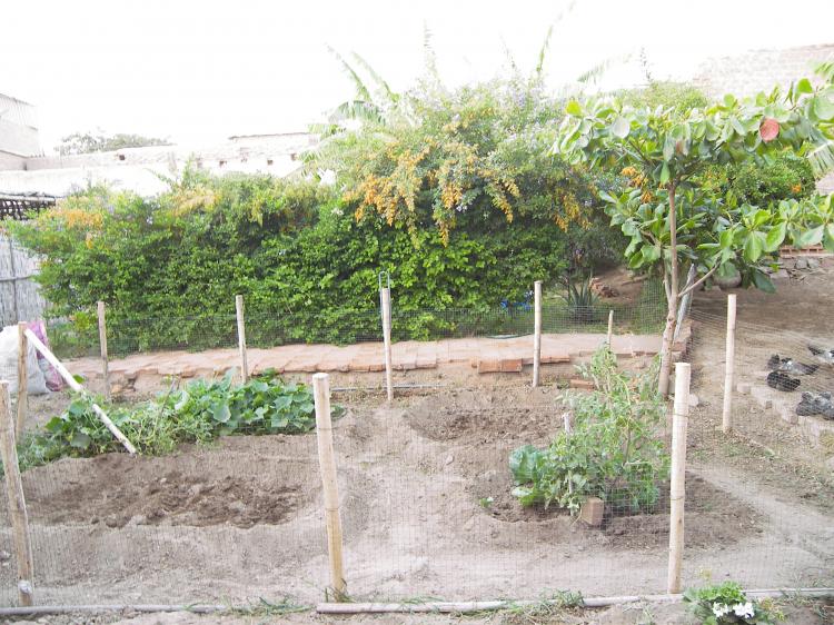 Terreno y casa en el centro de la ciudad de Lambayeque