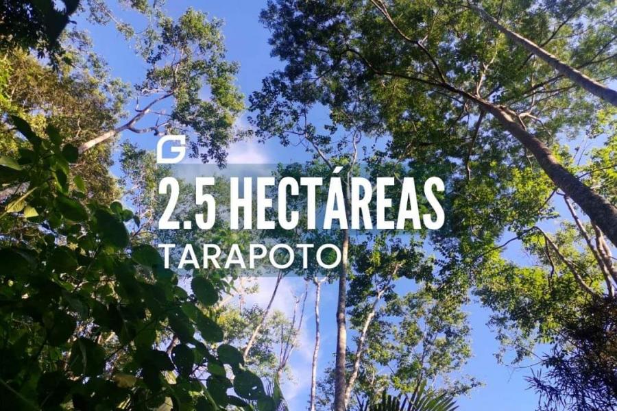 Foto Terreno en Venta en Tarapoto, Tarapoto, San Martin - S/. 299.000 - TEV36489 - BienesOnLine