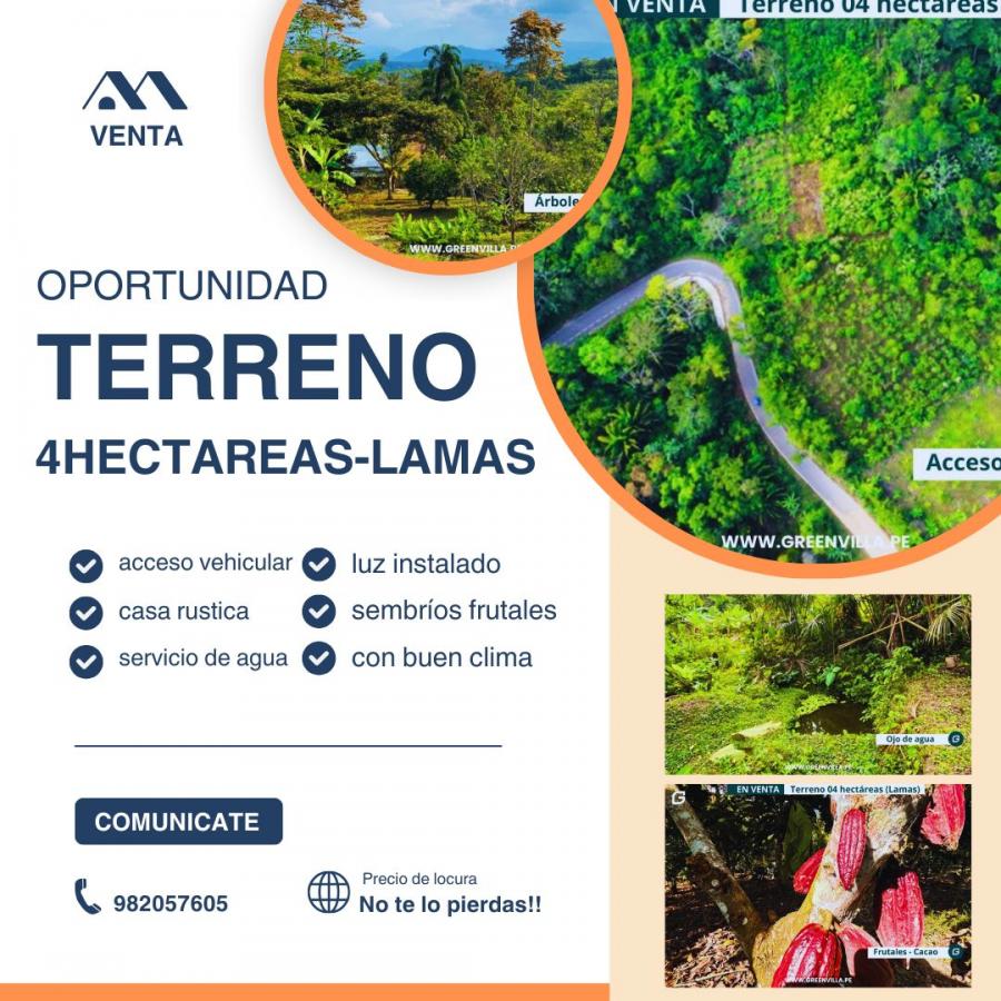 4HT EN LAMAS-TIERRAS PRODUCTIVAS Y ABUNDANTE AGUA!