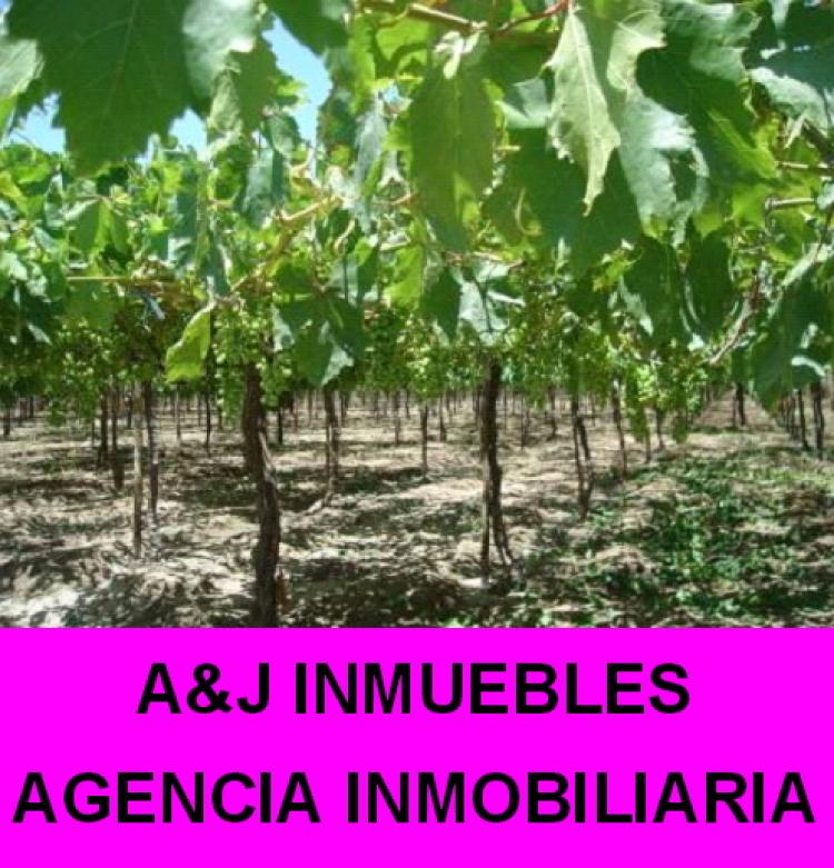 SE VENDEN TERRENOS AGRICOLAS EN ICA