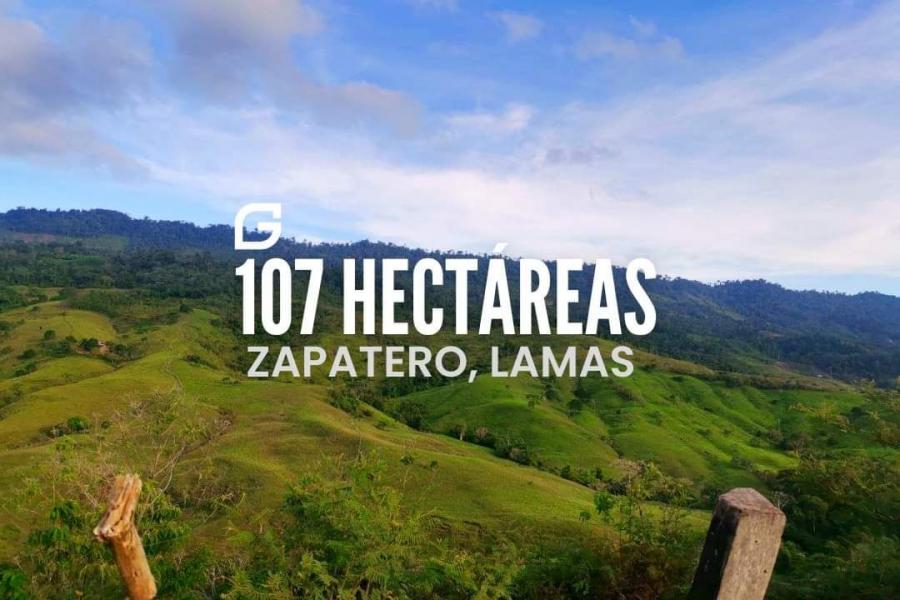 Foto Terreno en Venta en Lamas - Tarapoto, Tarapoto, San Martin - S/. 1.070.000 - TEV36501 - BienesOnLine