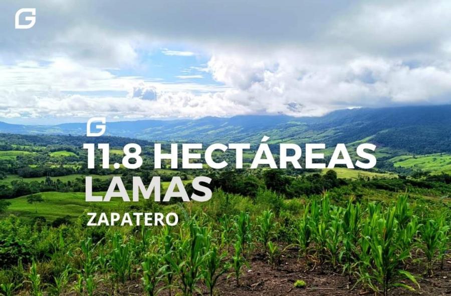 Foto Terreno en Venta en Tarapoto, Zapatero - lamas, San Martin - S/. 185.000 - TEV36492 - BienesOnLine