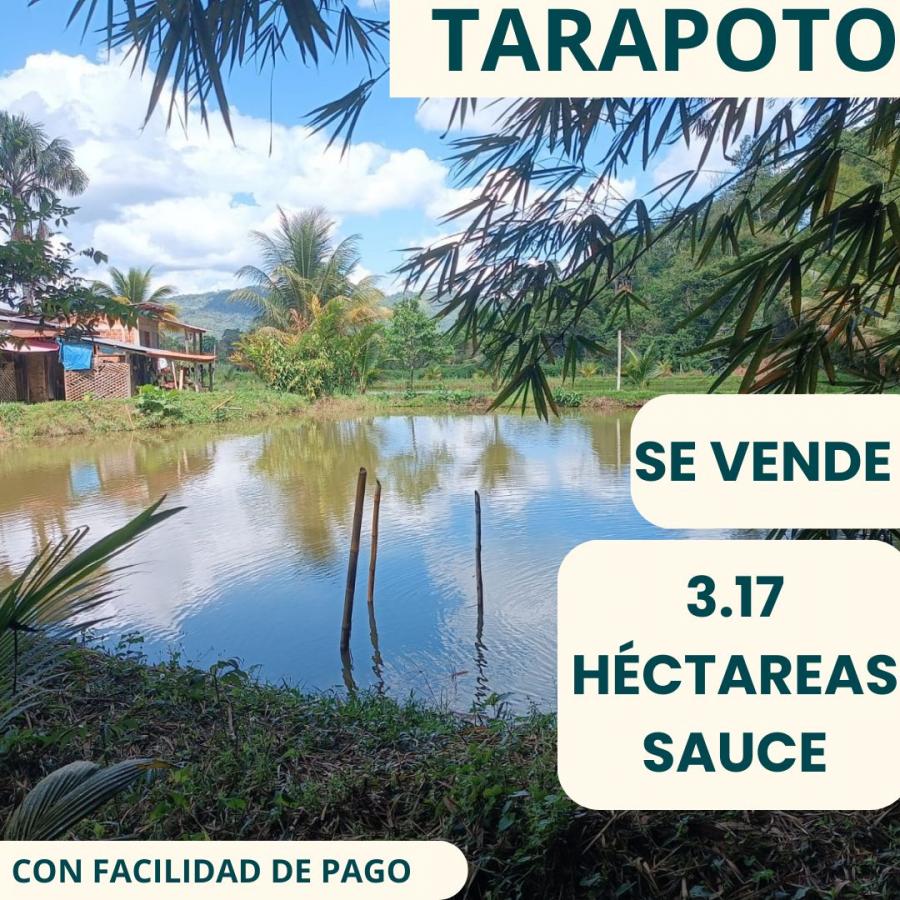 Foto Terreno en Venta en Lamas, Lamas - U$D 250.000 - TEV39585 - BienesOnLine