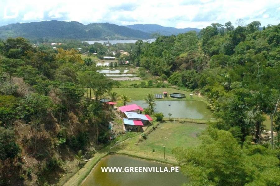 Foto Terreno en Venta en Laguna de SAUCE- Tarapoto, Sauce - Tarapoto, San Martin - U$D 650.000 - TEV36454 - BienesOnLine